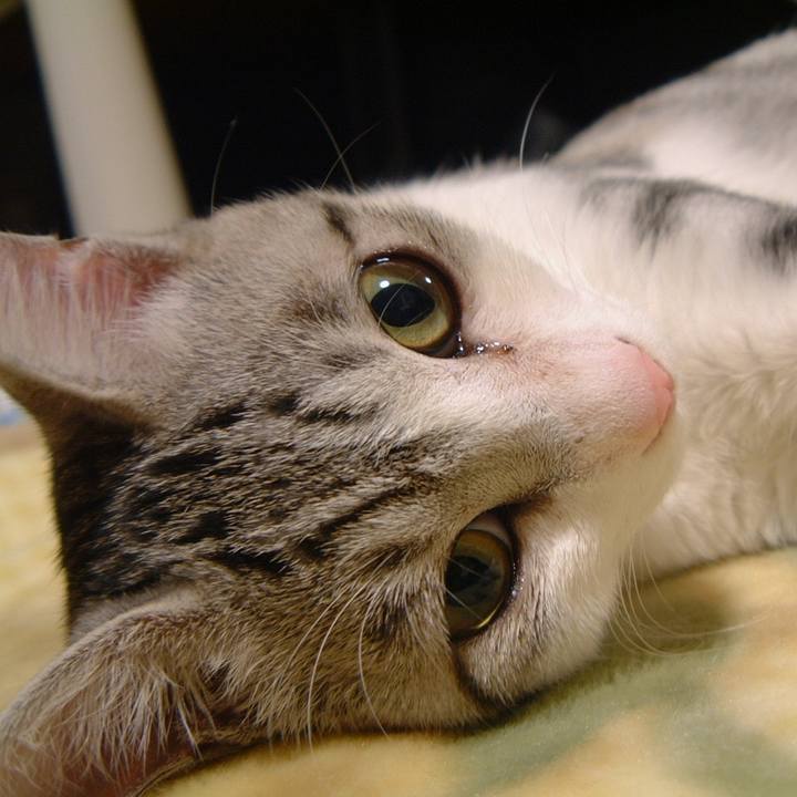 58ff577a 0da5 4f49 9db2 46d97a6c5014