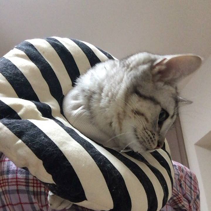 58ff92fd 43b7 4ffe 812b 4c64963f32db