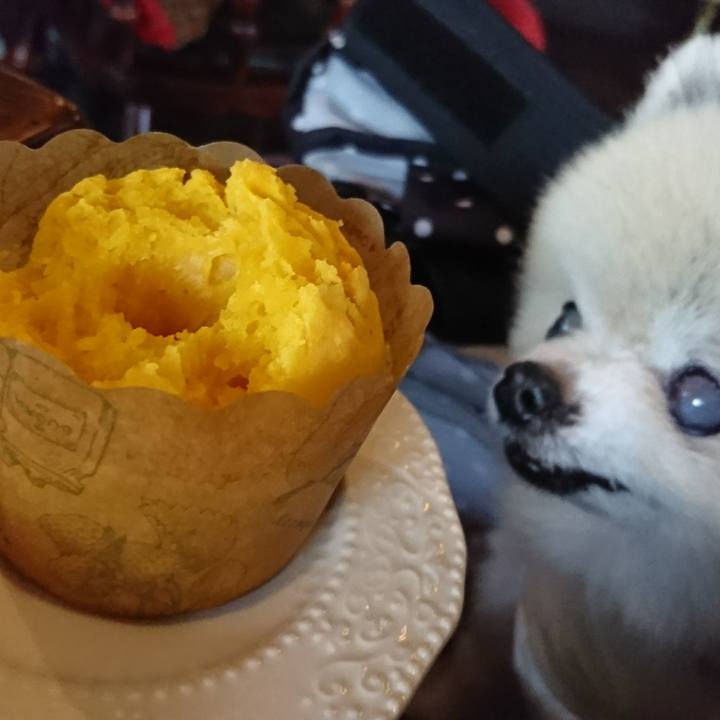 58fff33a 81e3 435f aaf9 83a756d04070