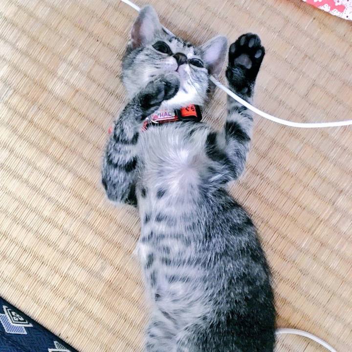 59000f8c 4d97 4e5e a762 f9ded7561de8