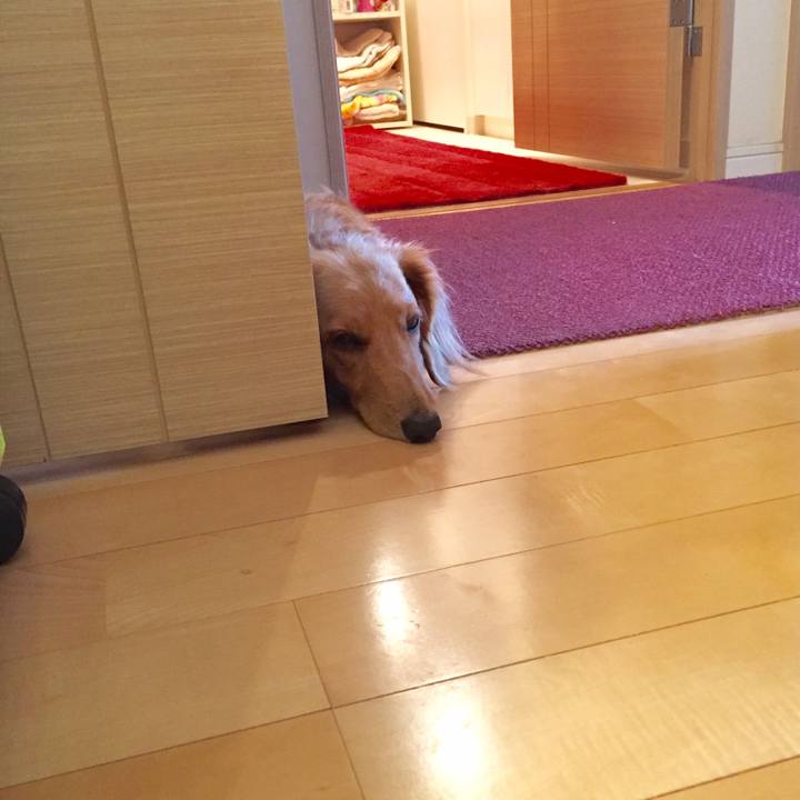 59002ed4 f35f 487b 8d38 94f86a33572f