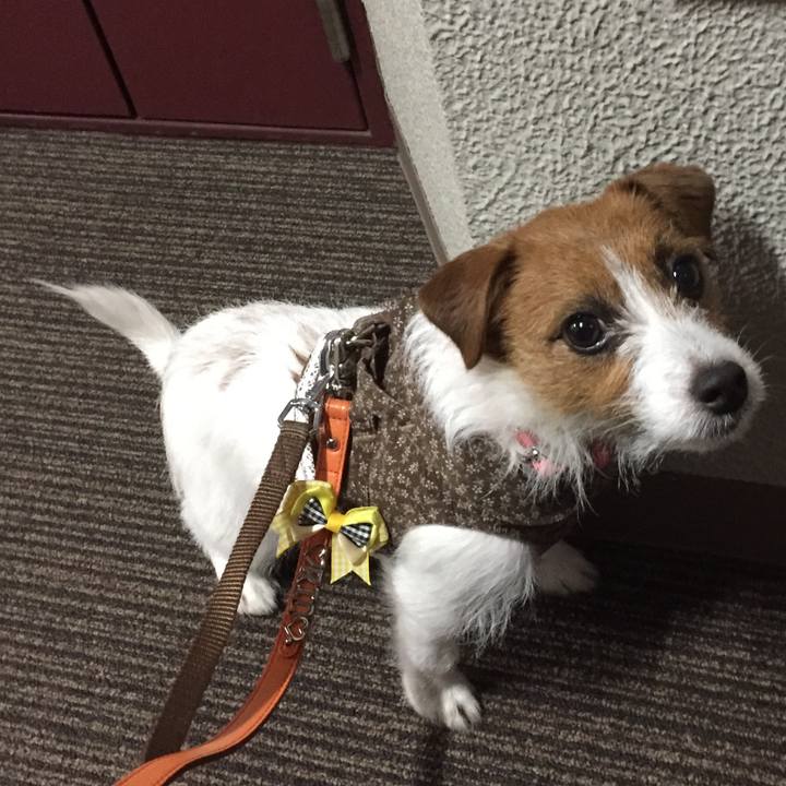 59004c67 48a7 4923 b7fd 7ca96cf5b352