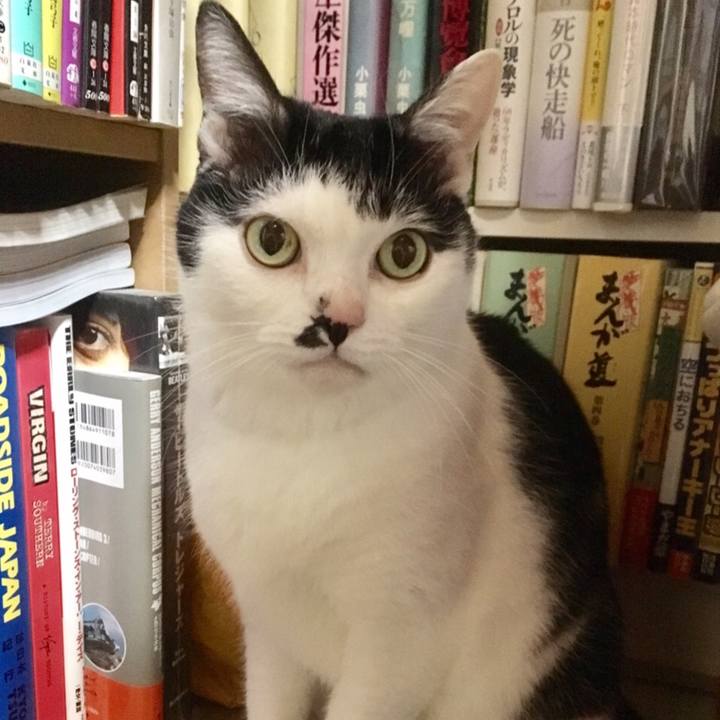 5900930d 2455 4044 bb87 ecdc10cfdac6