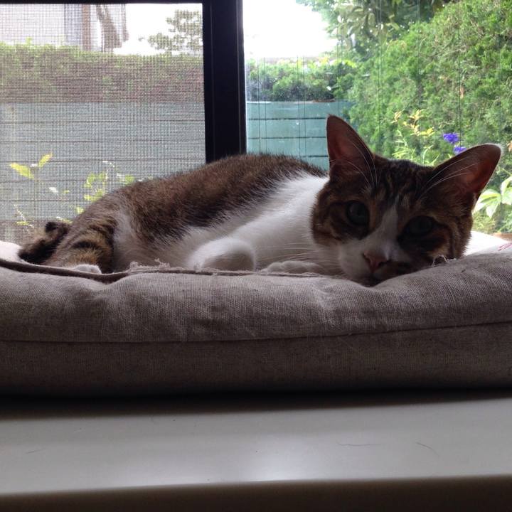 5900a8bf 9877 4073 b8ee db2ee6be1dfc