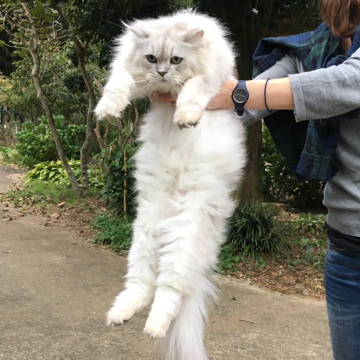 5900c1ea e403 471b 9d6b 7641bc0afa0a