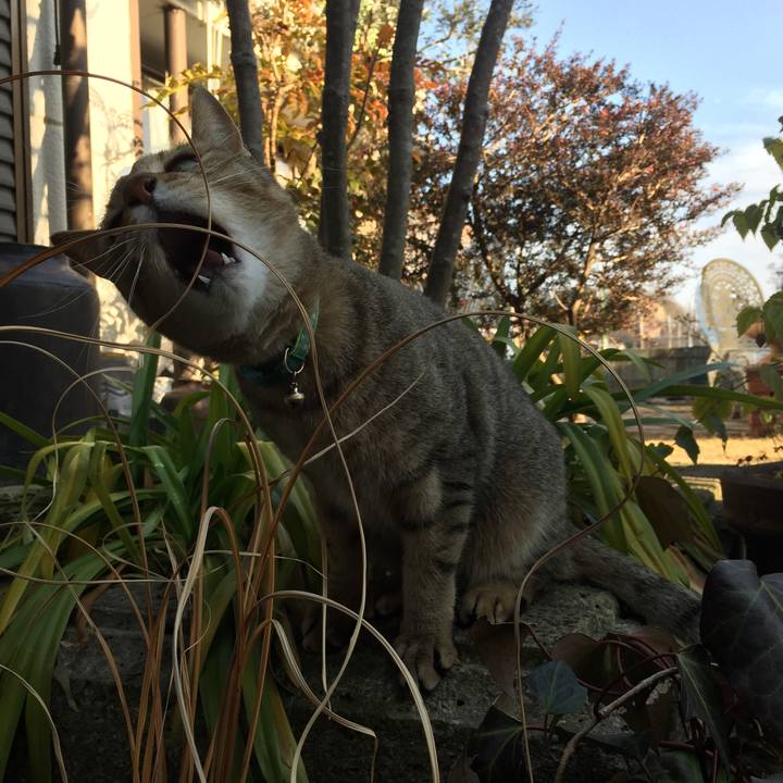 59010f37 ee5f 407b 899d 32dbc841c29a