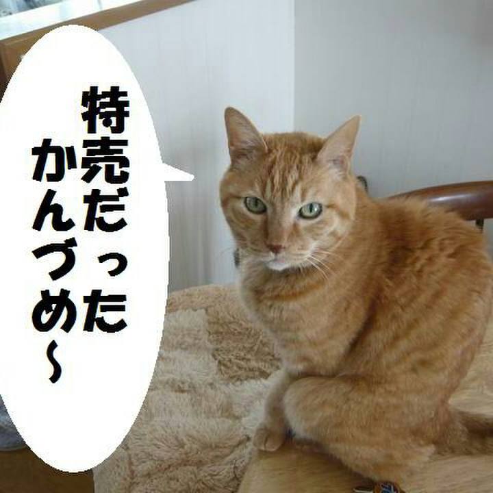 590116d4 9c62 480e 9338 b76a756f5b03