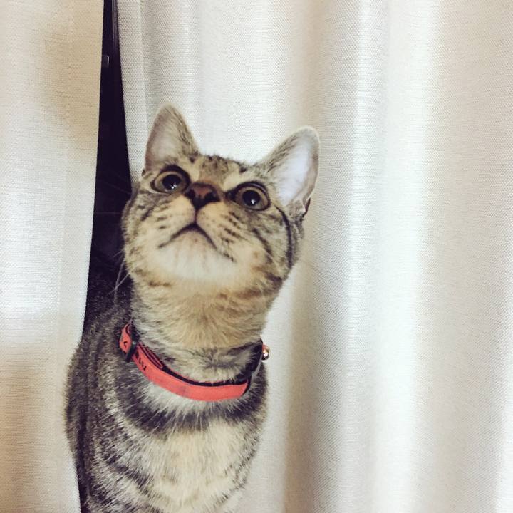 5901a5a6 6c15 4395 836c 67280fe0f56b