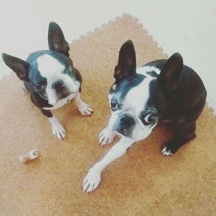 5902c914 f4e2 44ab b29e c209c0ea9e8f