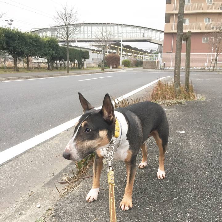 590368c0 0137 42bf 9d5a 9f0860eb62ee