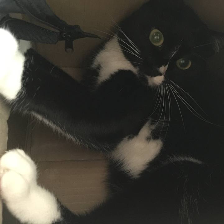 590396f0 4672 4e62 bcd0 a31e374f0bf5