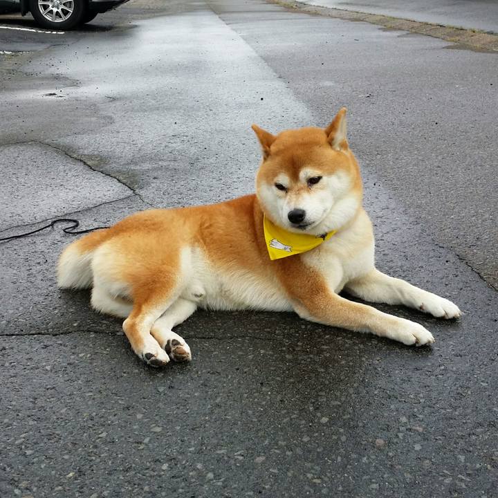 5903d4bf 9db7 44fb ae08 5cb33c5dfebe