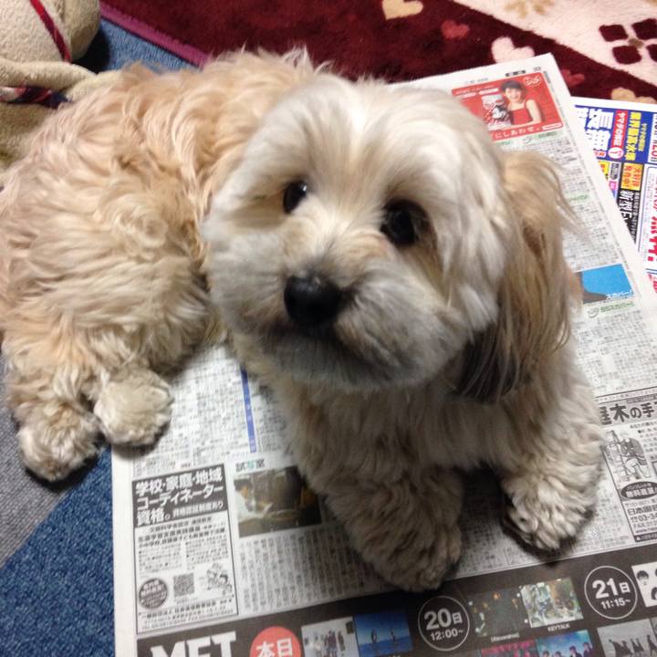 59043cba 4271 44bb 9c38 0b06fd865174