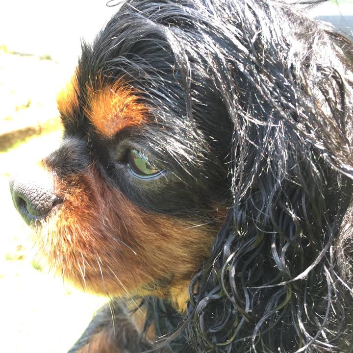 5904a8a5 577c 4908 9ded 7f5b94555d4b