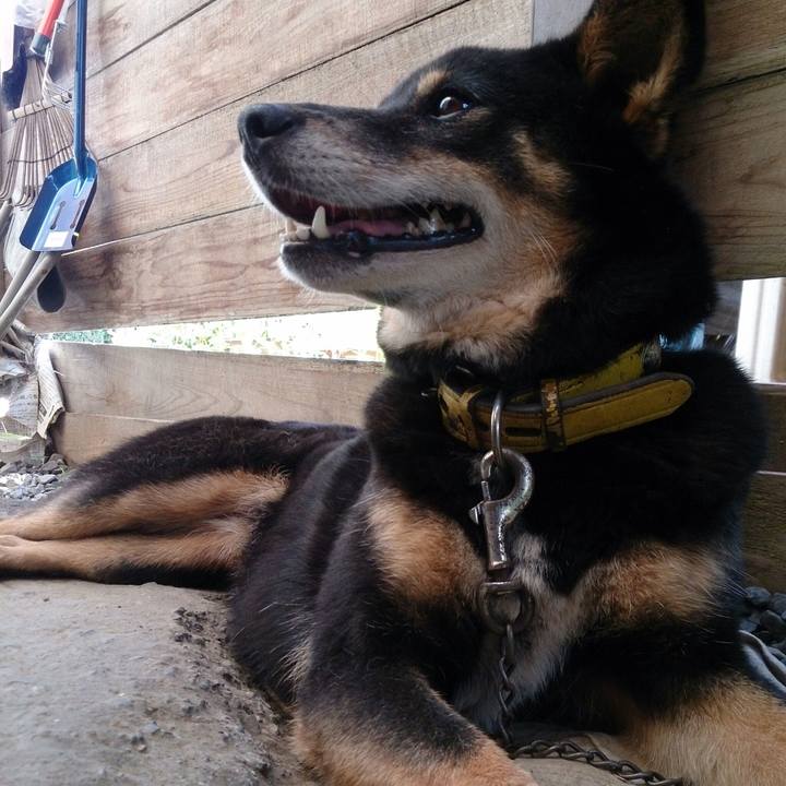 5904e329 03d3 434b adcf 6b0300db914b