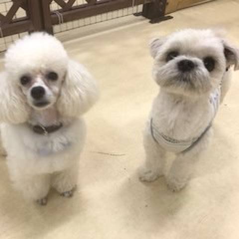 590584b9 bdbb 4a23 9606 1d6ebd8e243e