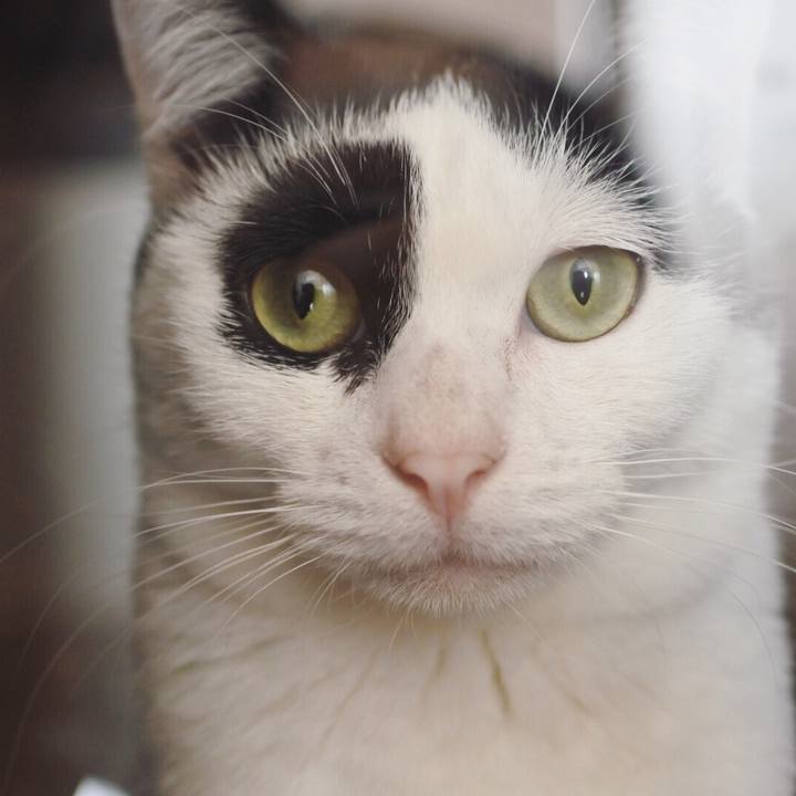 59060521 d061 48f5 9679 f5f953a3a4f3