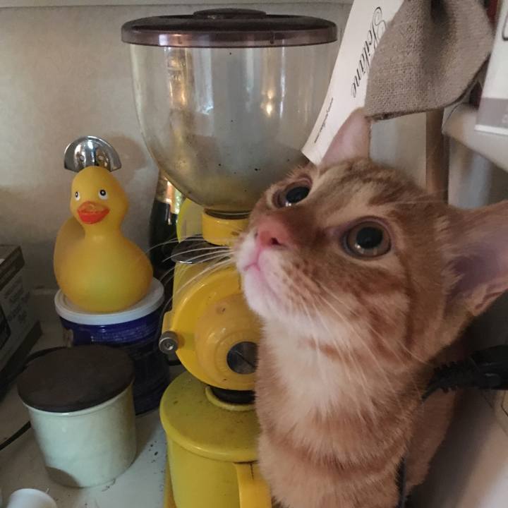 590623f6 7baa 4ca6 abbe 4804fce541c0