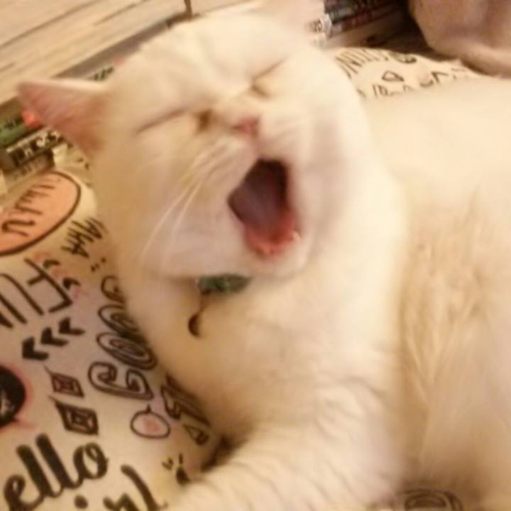 59065878 d75c 4c2b 9183 5f07d40d8325