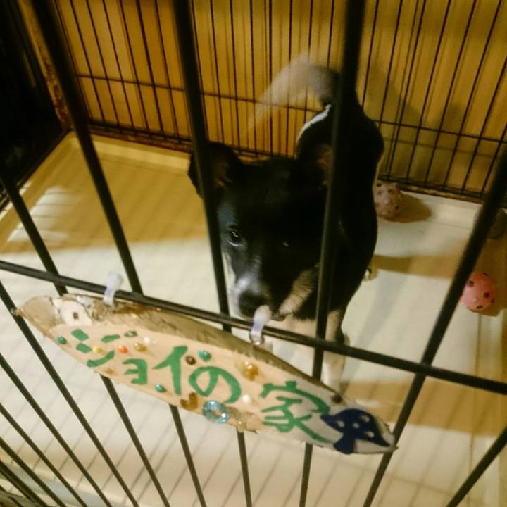 5906e7ff c4ba 49bf ad1d 33d2852a4f33