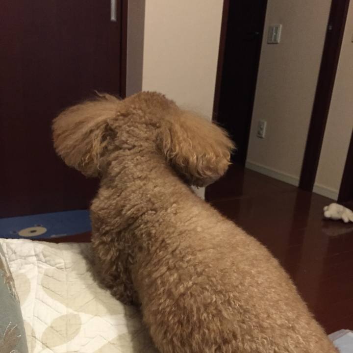 59075398 8c7f 4c95 b6b4 bdca70256296