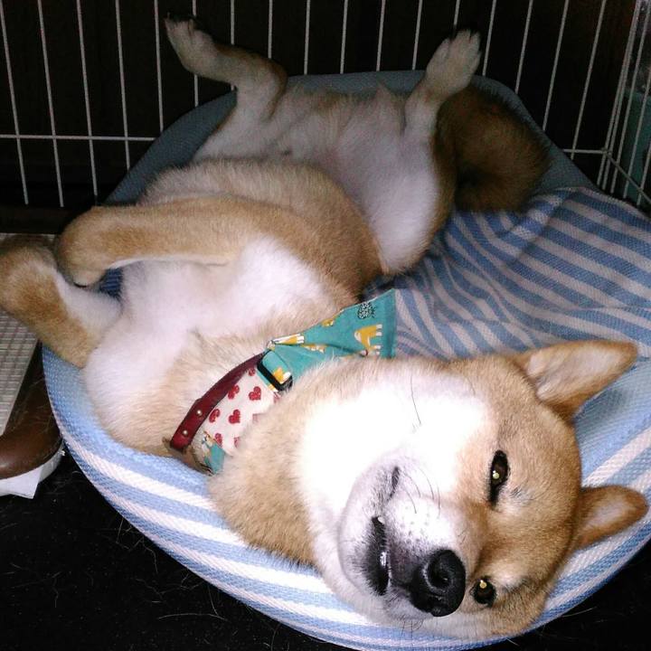 5907f831 de0a 4650 9652 73fa6f5ef42e