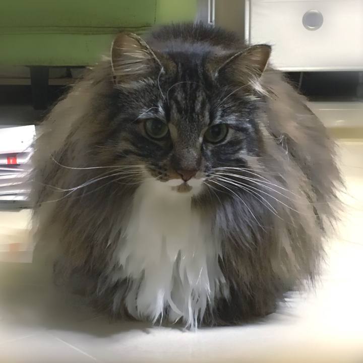 59082564 fadc 4cfb b0c6 2e1c200249f8