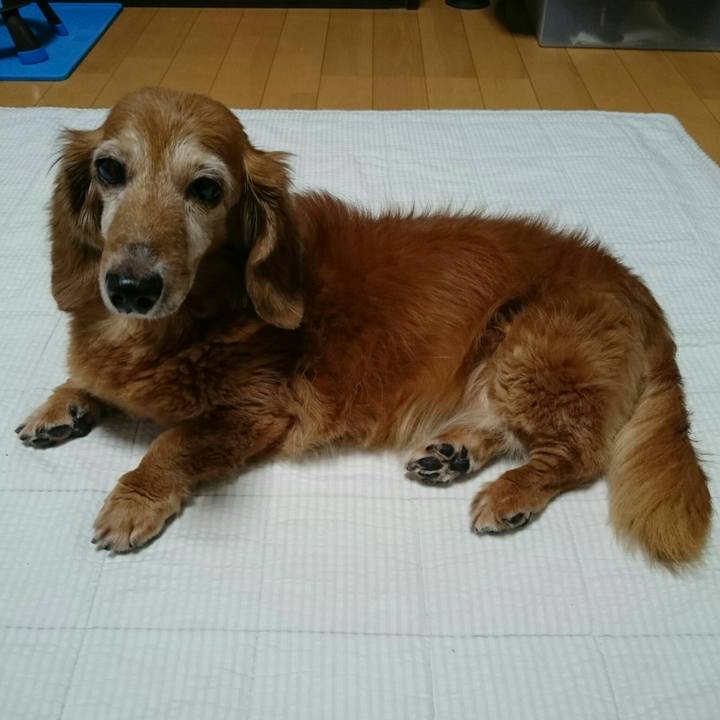 590831a6 fa29 4149 aaf0 2f3d26c3e6a8