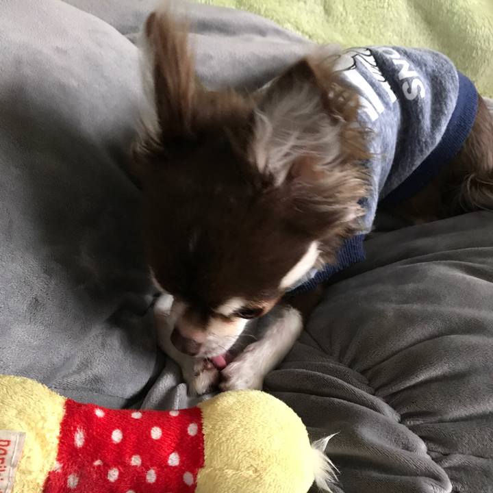 5908942f 964c 4f9b 8f72 1e5409d04517