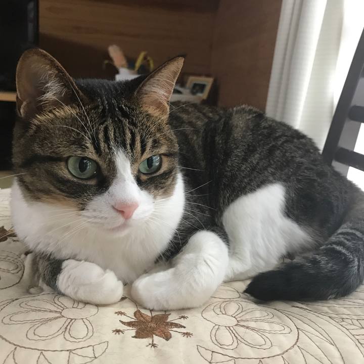 59090391 761c 41b3 b221 b1e157c80247