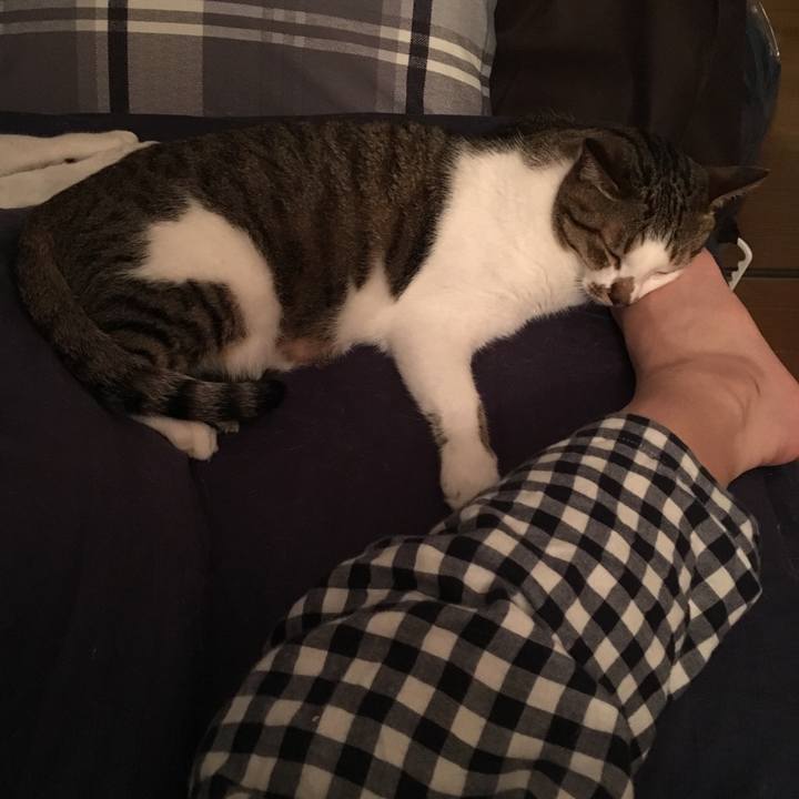 590908e2 b469 466c bb97 57fcf4c8ef99