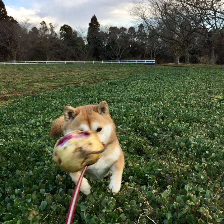 59092aab c108 48cb afe6 62ebb2581b08