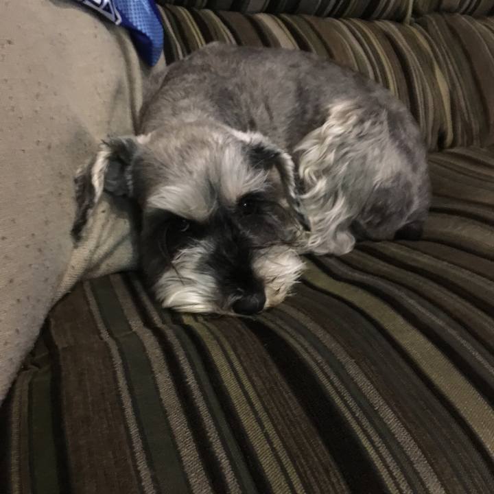 590948cd 6b55 4170 b922 3f7d8331a262