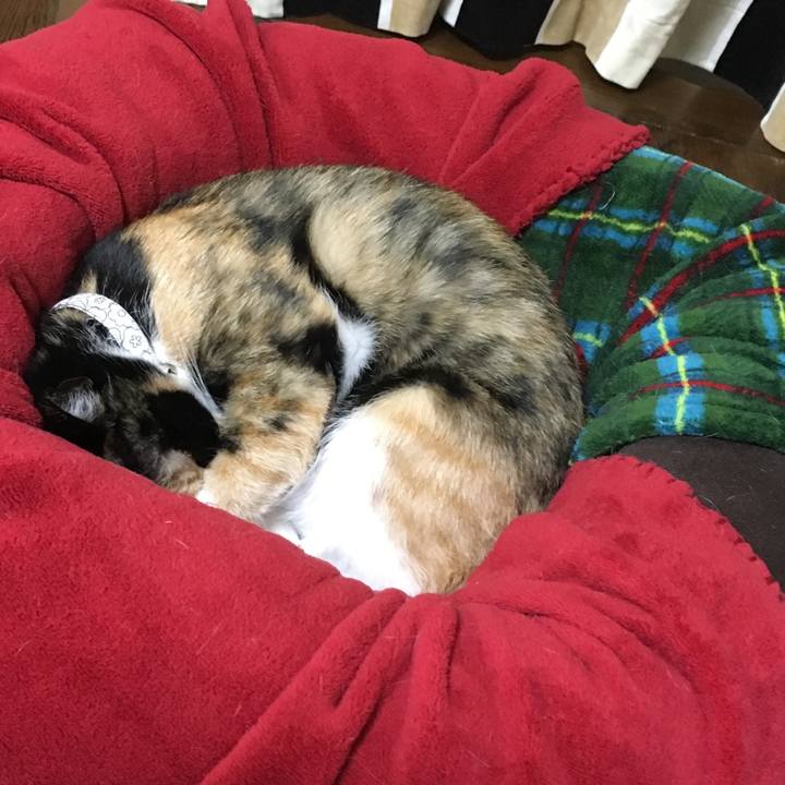 59097796 bd19 4be5 81cb ec13a51c045f