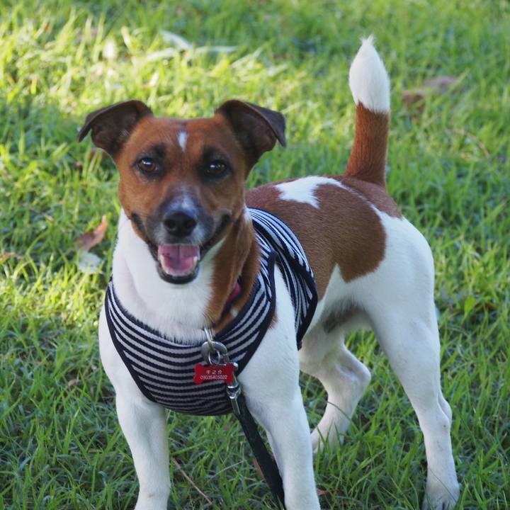 5909d587 6b94 47f2 bfb4 5d2ce2367f5b