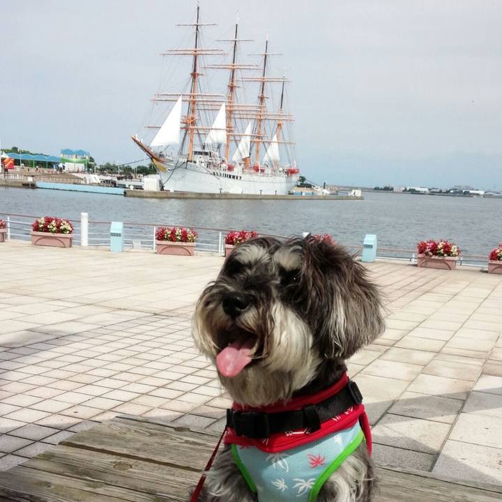 5909fe58 71ed 40ac a093 91da4ed43e0c