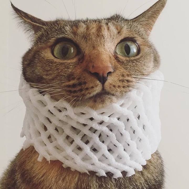 590a2ea5 db4f 40b7 a431 affe6860b0eb