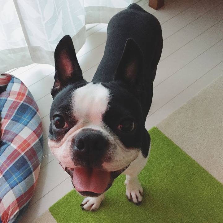 590a9959 b004 42fa a721 ef0137da0ebc