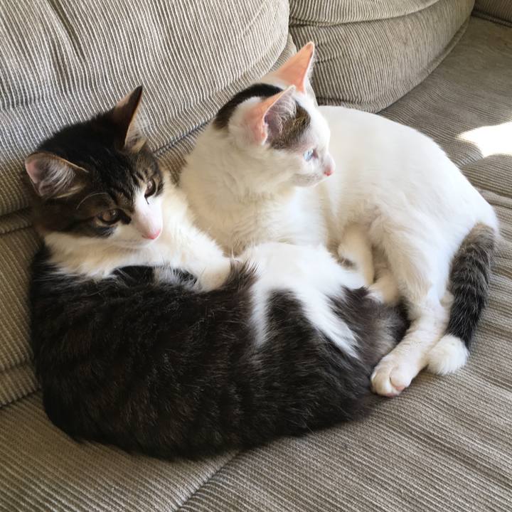 590a9fb6 69ac 42fe 9acc fcf323dec25c