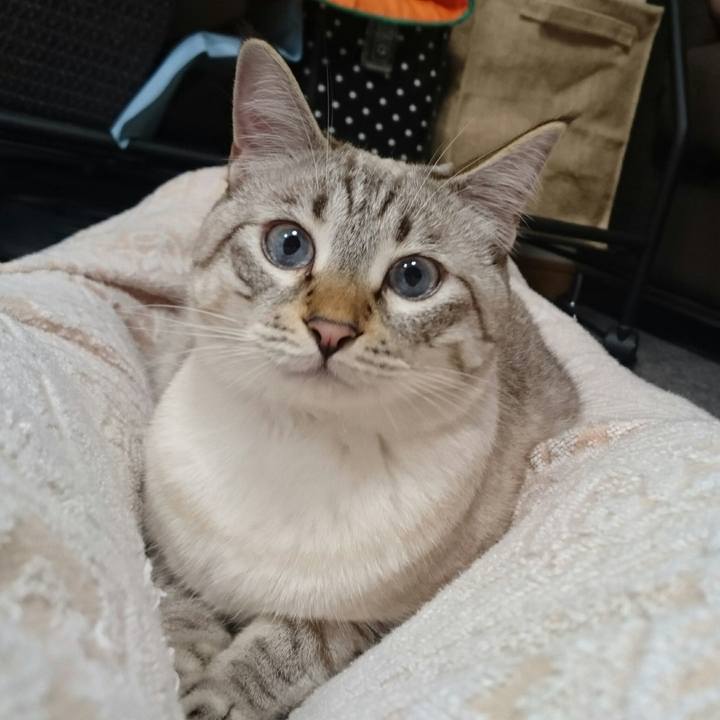 590ad229 3312 49bc 8eec b99875b75252