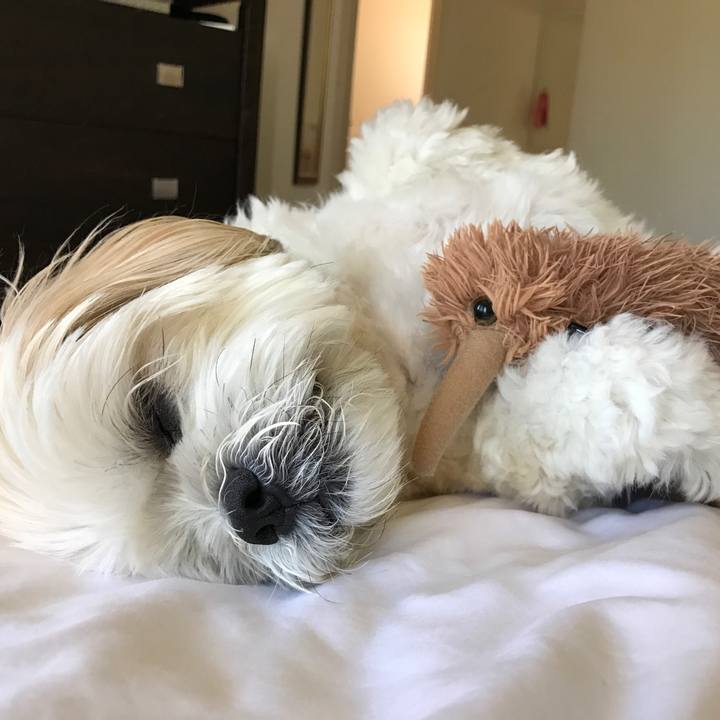 590af7a8 6b84 40f4 8bea cbabb6f0982c