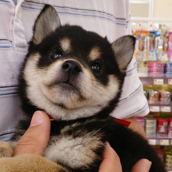 590b1622 2c84 4445 ac68 d3968adfcc8f