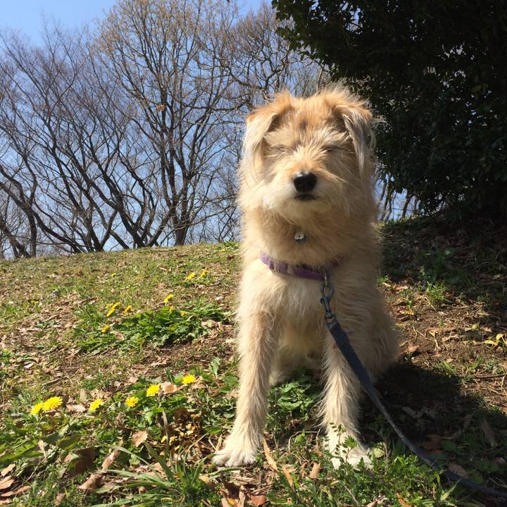 590b9066 e00c 48ea 80fe 18b921da2332