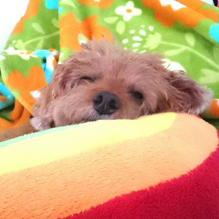 590ba365 f262 41ee af7b 38466d46805d