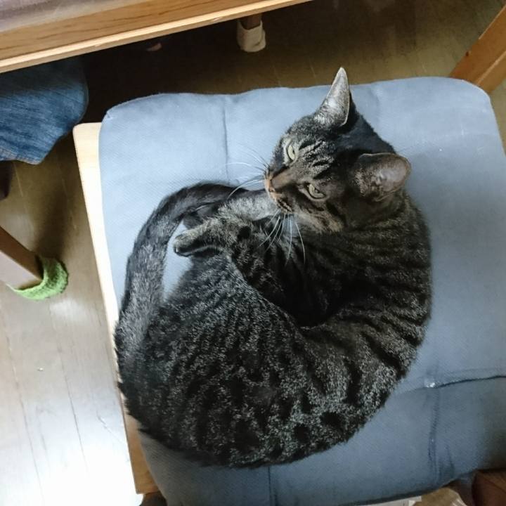 590c4ab9 741a 42cc af4e 260710699316