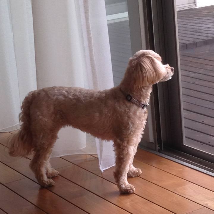 590d361d 81f5 4f38 be62 e18afe612ab8