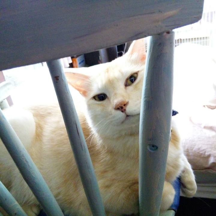 590dc48a fe80 4bf9 961f ecd1e3a28851