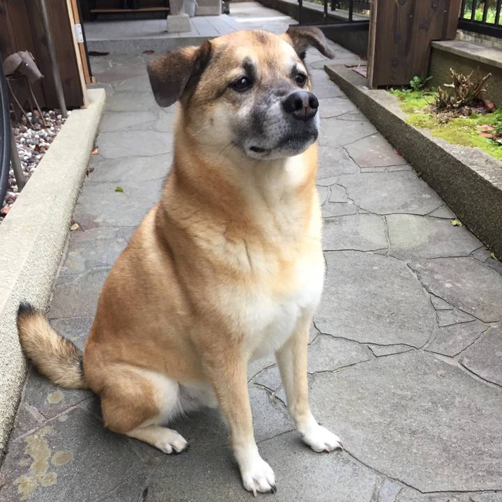 590dced8 dc5b 4db0 a18f 0b9735cb0ed5