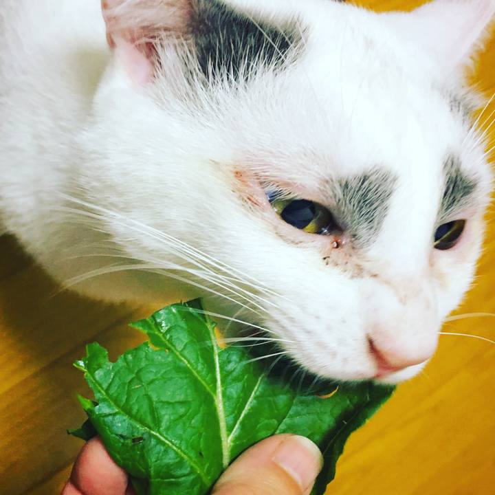 590e3f55 c7d8 427b ba4a 12f21c4af0f0