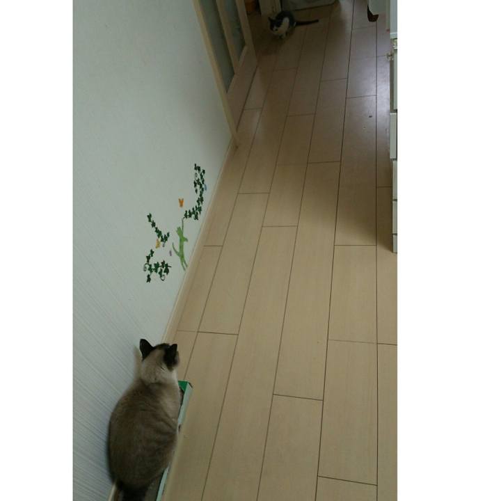 590ea173 bcb1 4243 82bd 2ed1ebf483a2